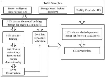 Application of serum Raman spectroscopy combined with classification model for rapid breast cancer screening